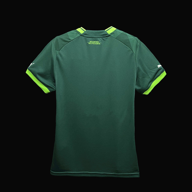 Camisa do Palmeiras Feminina 2023/24 Versão Torcedor ( Verde )