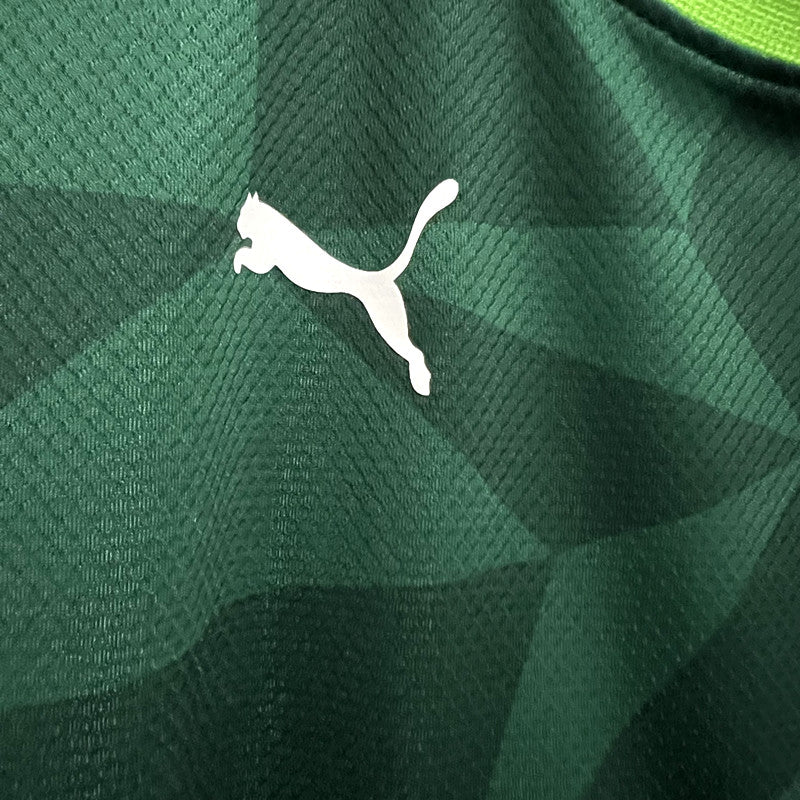 Camisa do Palmeiras Feminina 2023/24 Versão Torcedor ( Verde )